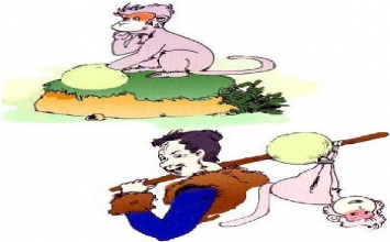 Năm Bính Thân nói chuyện khỉ - Cái bẫy khỉ, nguyên nhân của khổ đau